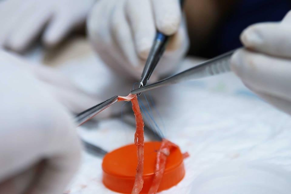 36030245c5541edb6b0b